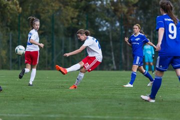 Bild 202 - B-Juniorinnen Hamburger SV - FC Neubrandenburg 04 : Ergebnis: 3:1